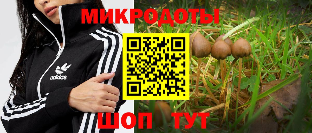 Дагестанские Огни  Псилоцибиновые грибы Magic Shrooms  Вход с VPN 